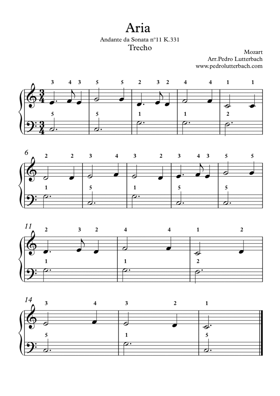 Aria From Sonata K.331 (arr. Pedro Lutterbach)