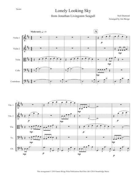 Lonely Looking Sky (arr. Jim Bicigo)