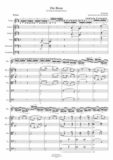 F.Schubert "Die Biene" For Violin and String Orchestra (arr. Seva Youdenitch)