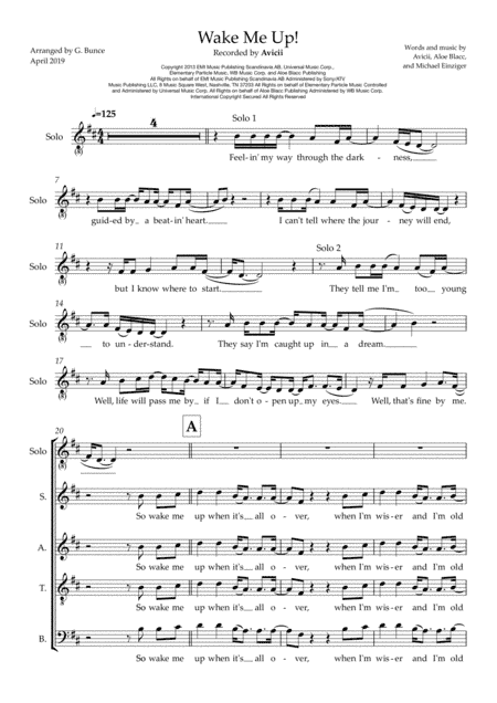 Wake Me Up (arr. Guy Bunce)