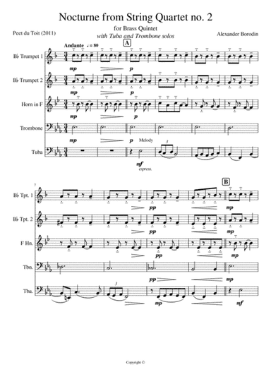 Nocturne from String Quartet no. 2 - A Borodin (arr. Peet du Toit)