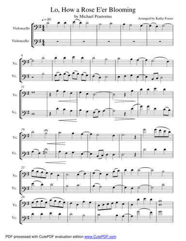 Lo, How a Rose E'er Blooming for Cello Duet (arr. Katherine Fraser)