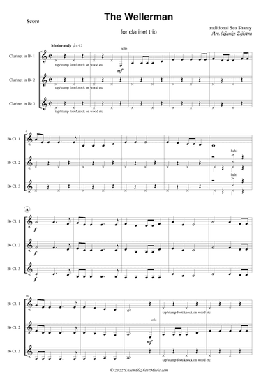 The Wellerman (arr. Nienke Zijlstra)