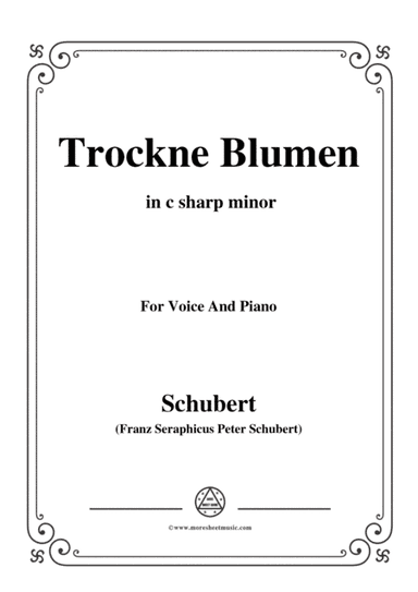 Schubert-Trockne Blumen,from 'Die Schöne Müllerin',Op.25 No.18,in c sharp minor,for Voice&Piano (arr. MSM)