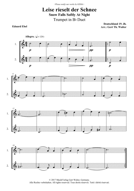 Snow Falls Softly At Night (arr. Gert Th. Walter)