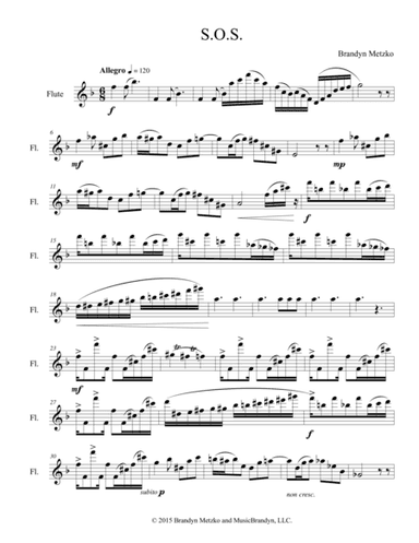 S.O.S. for Flute Alone