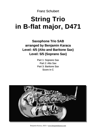 String Trio in B-flat, D 471 (arr. Benjamin Karaca)