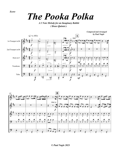 The Pooka Polka