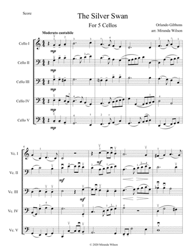 Orlando Gibbons The Silver Swan for 5 Cellos (arr. Miranda Wilson)