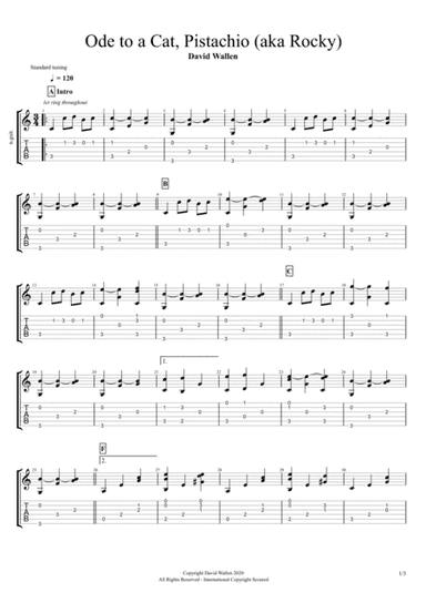 Ode To A Cat, Pistachio (aka Rocky)