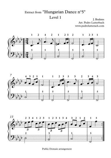 Hungarian Dance nº5 - Brahms (arr. Pedro Lutterbach)
