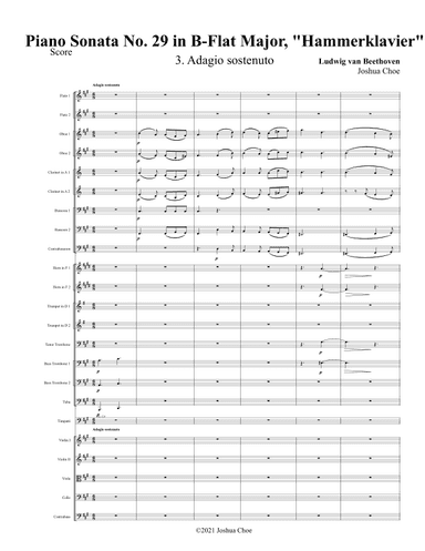 Hammerklavier Sonata, Movement 3 (arr. Joshua Choe)