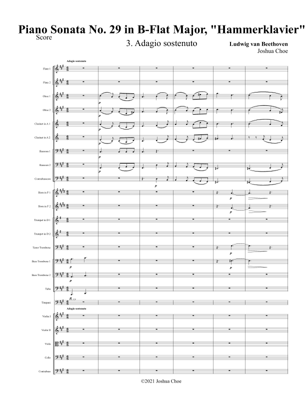 Hammerklavier Sonata, Movement 3 (arr. Joshua Choe)