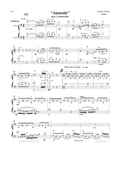 AMARULA Duetto for Cello