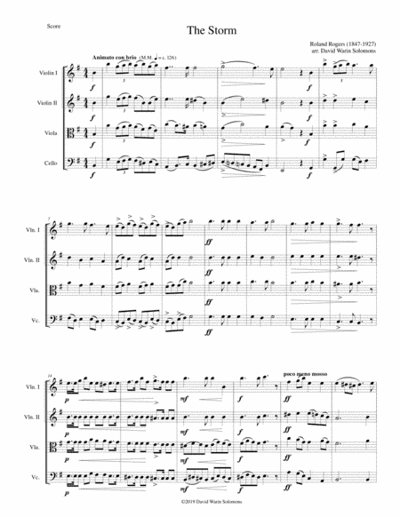 The Storm arranged for string quartet (arr. David Warin Solomons)