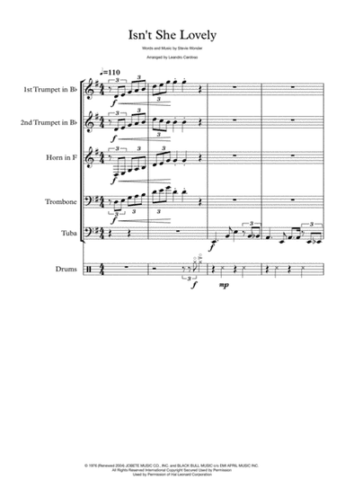 Isn't She Lovely (arr. Leandro Cardoso)