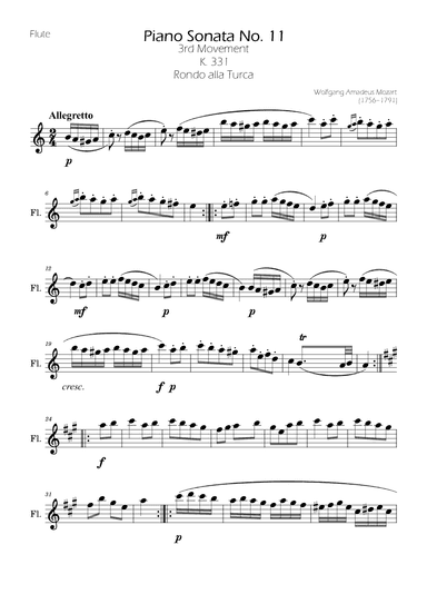 Rondo alla Turca Flute Solo (arr. Ygor Nunes)