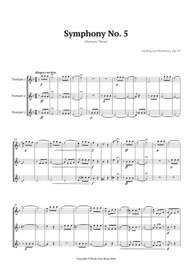 Symphony No. 5 by Beethoven for Trumpet Trio (arr. Ander)