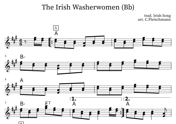 The Irish Washerwomen (arr. Christoph Fleischmann)