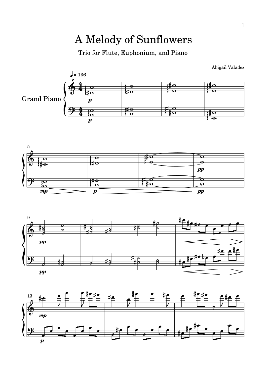 A Melody of Sunflowers