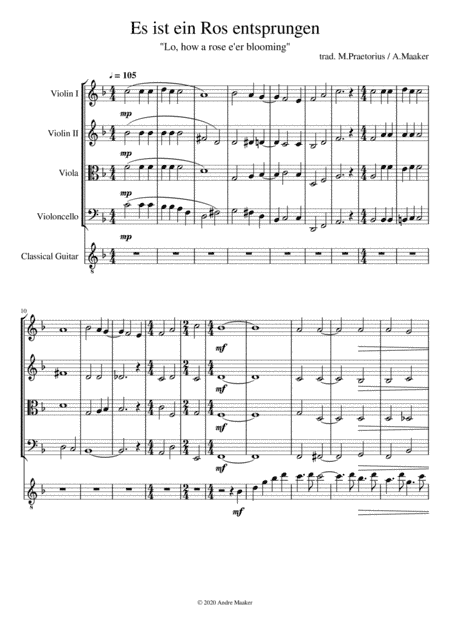 "Es ist ein Ros entsprungen / Lo, how a rose e'er blooming" - guitar + string quartet (arr. Andre Maaker)