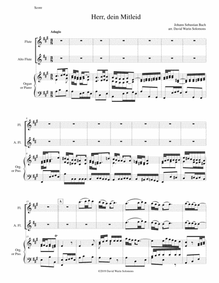 Herr dein Mitleid from the Christmas Oratorio - Weihnachtsoratorium flute, alto flute, keyboard (arr. David Warin Solomons)