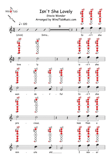 Isn't She Lovely (arr. WindTab)