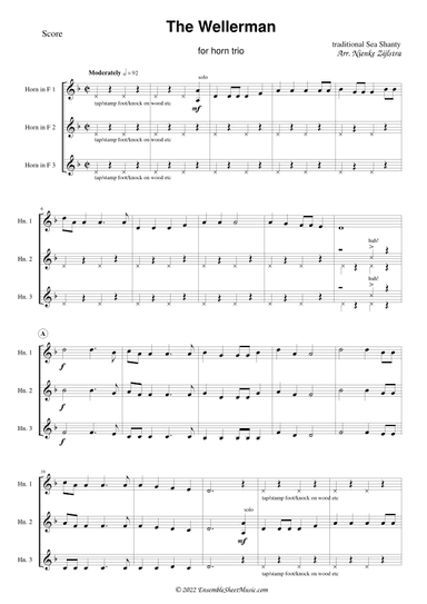 The Wellerman (arr. Nienke Zijlstra)