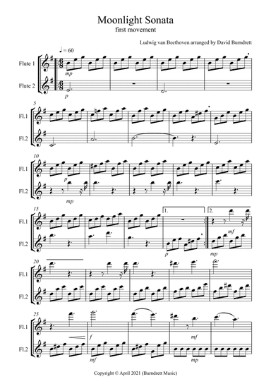Moonlight Sonata (1st movement) for Flute Duet (arr. David Burndrett)