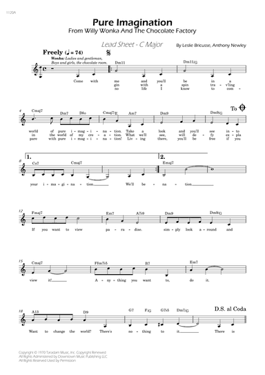 Pure Imagination (arr. César Madeira)