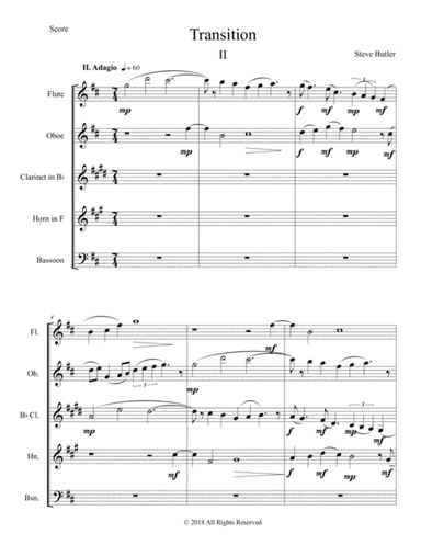 Transition II: Part II of a 3 movement Woodwind Quintet