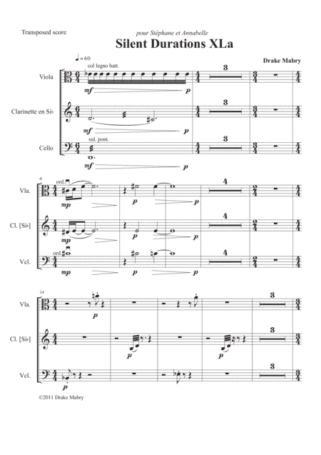 Silent Durations XLa (a Zen experience)