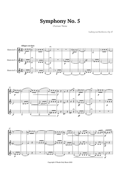 Symphony No. 5 by Beethoven for French Horn Trio (arr. Ander)