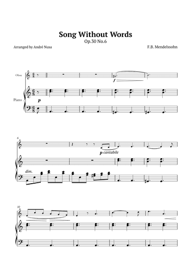 Song Without Words Op.30 No.6 (arr. André Nusa)