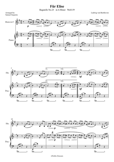 Für Elise (For Elise) - for French Horn and Piano accompaniment - with Piano Play along (arr. Samuel Sequeira)