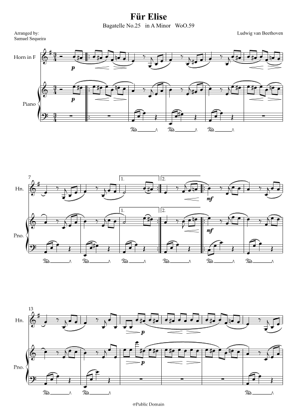 Für Elise (For Elise) - for French Horn and Piano accompaniment - with Piano Play along (arr. Samuel Sequeira)