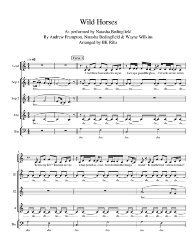 Wild Horses (arr. Brandy Kay Riha / BK Riha)