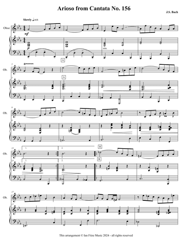 Arioso BWV 1056 (arr. Ian Fitze)