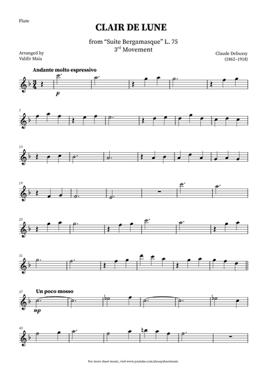 Clair de Lune - Flute (arr. Valdir Maia)