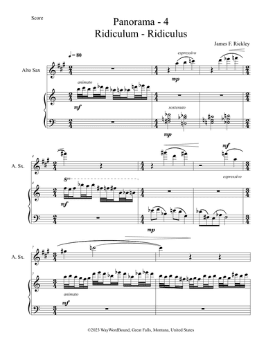 Panorama 4 Ridiculum - Ridiculous