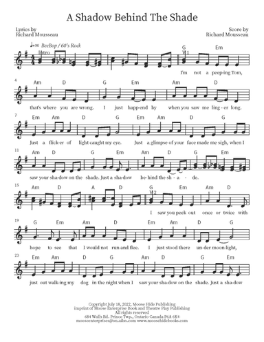 A Shadow Behind The Shade