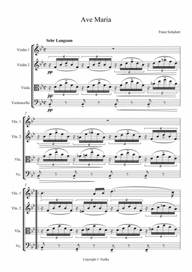 Franz Schubert - Ave Maria (arr. Tualka)