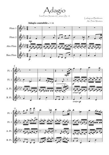 Adagio from Piano Sonata in C minor, Op. 13 (arr. Peter Wouters)