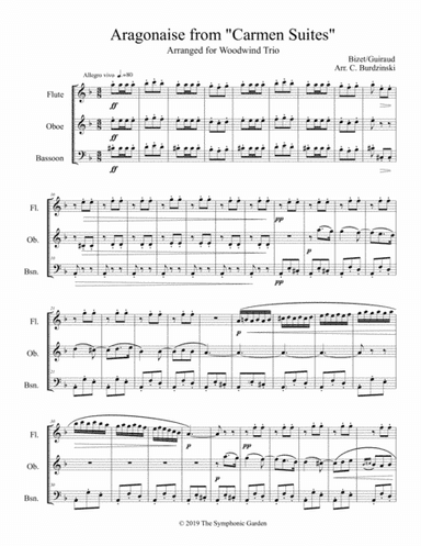 Aragonaise from Carmen - woodwind trio (flute, oboe, bassoon) (arr. C. Burdzinski)