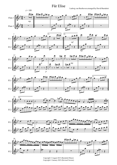 Fur Elise for Flute Duet (arr. David Burndrett)