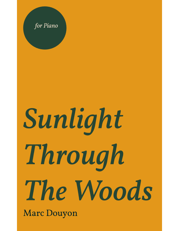 Sunlight Through The Woods