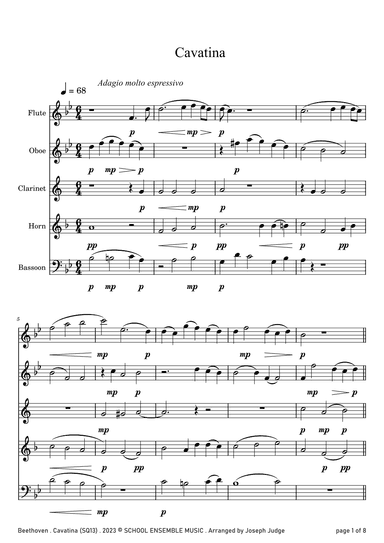 Cavatina by Beethoven for Woodwind Quintet in Schools (arr. Joseph Judge)