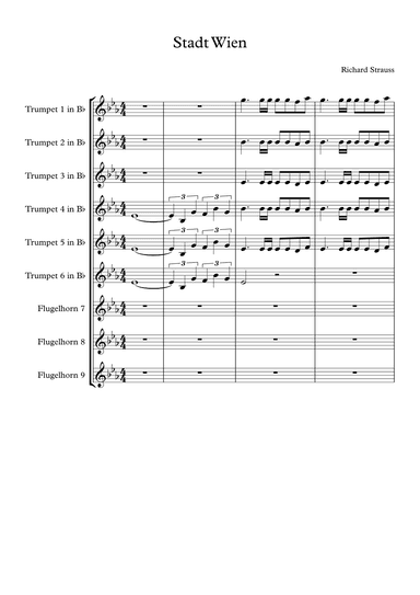Festmusik Stadt Wien (arr. G.Golding)