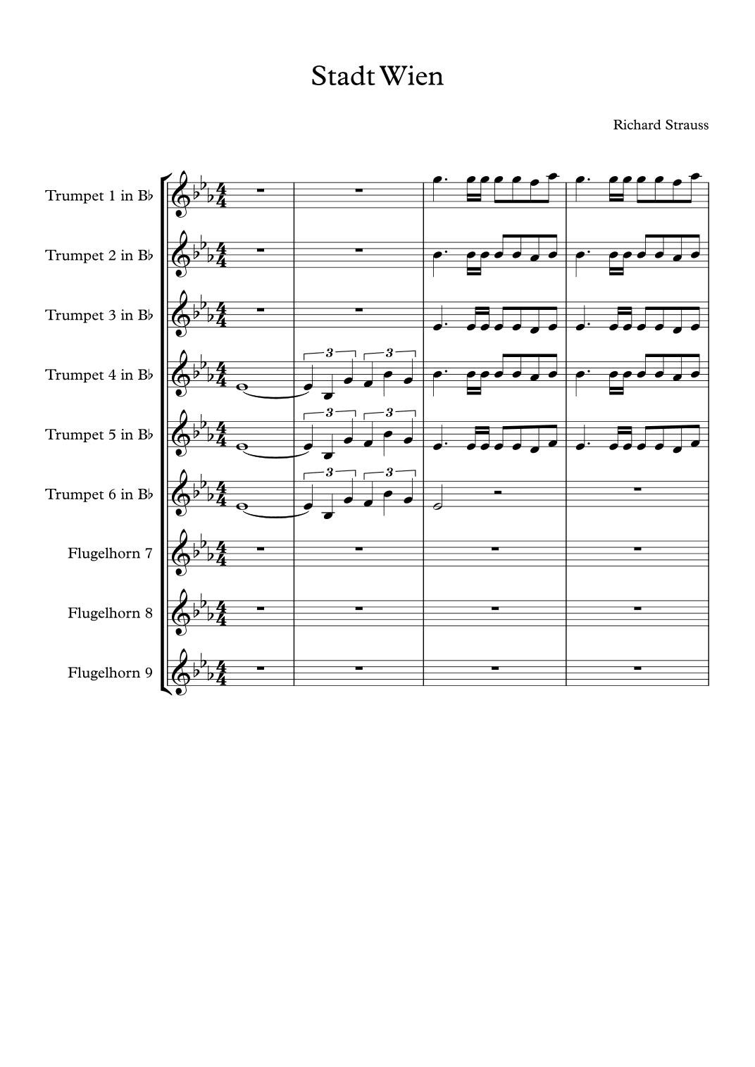 Festmusik Stadt Wien (arr. G.Golding)
