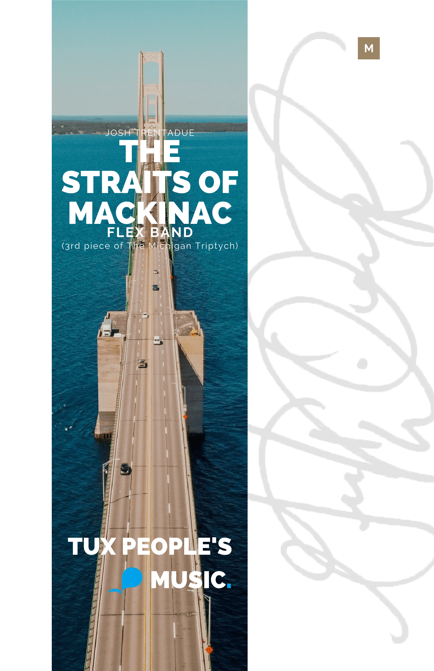 The Straits of Mackinac
